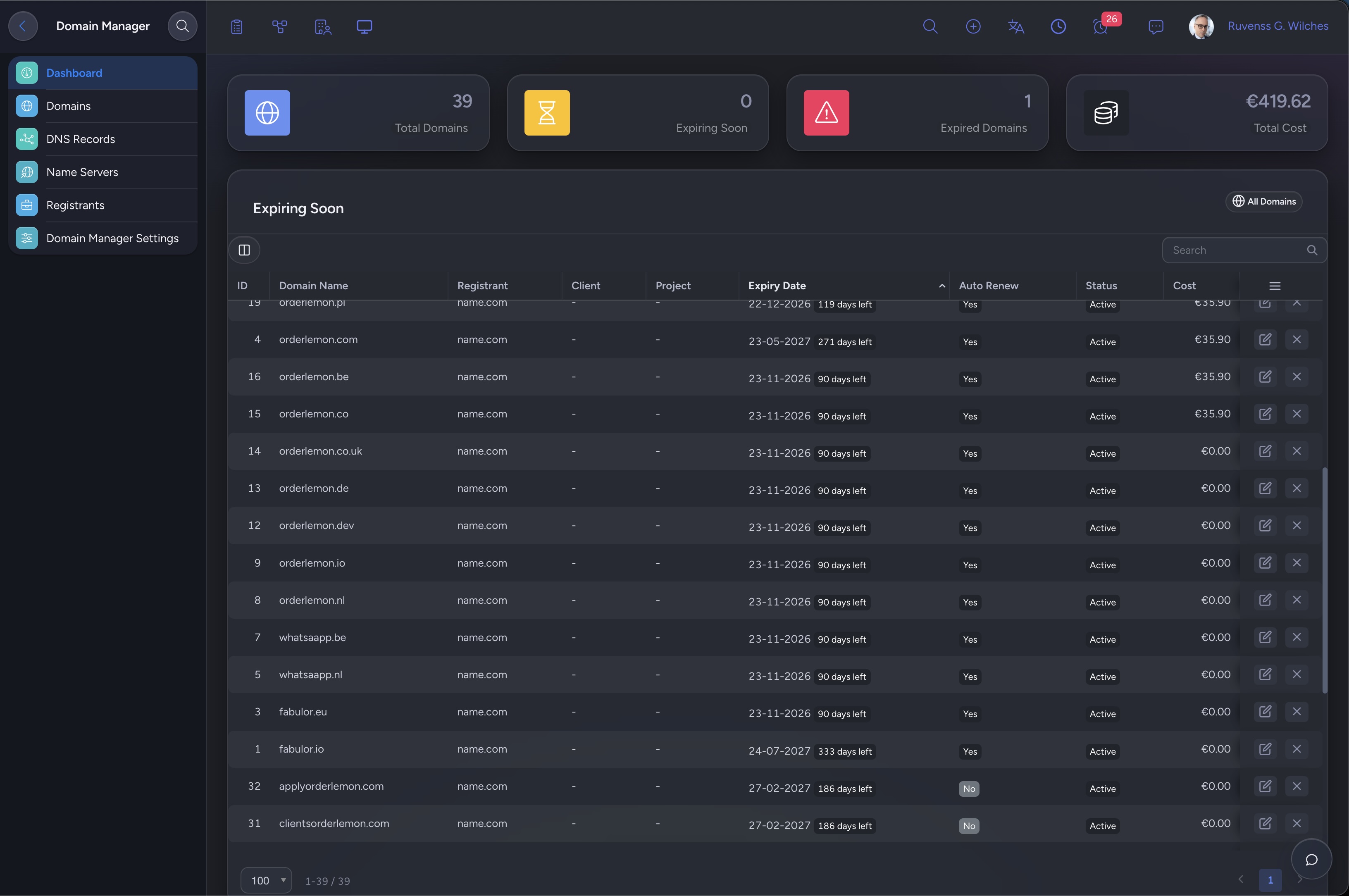 NIZU Domain Manager domain and DNS overview in dark mode