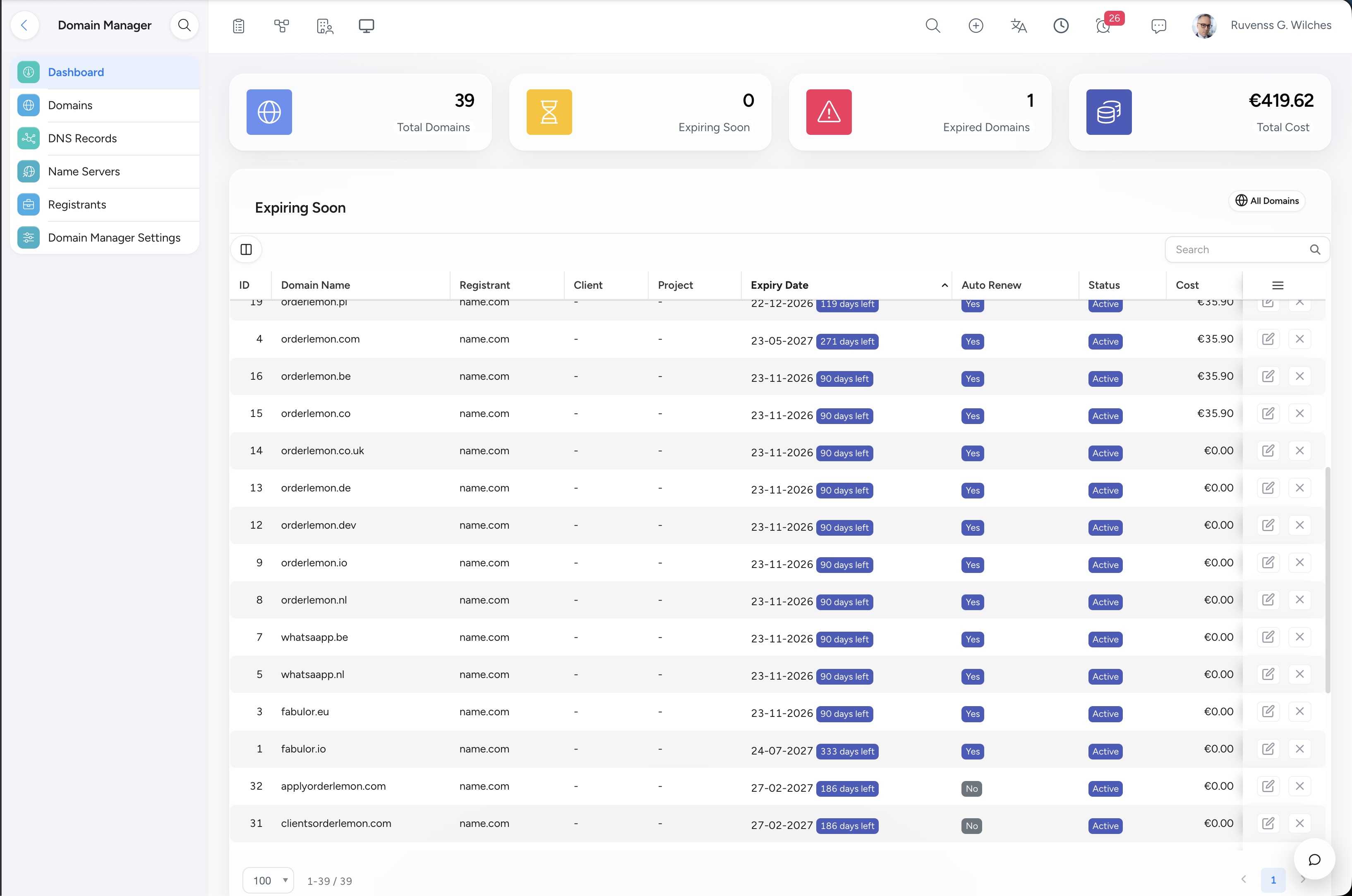 NIZU Domain Manager domain and DNS overview in light mode