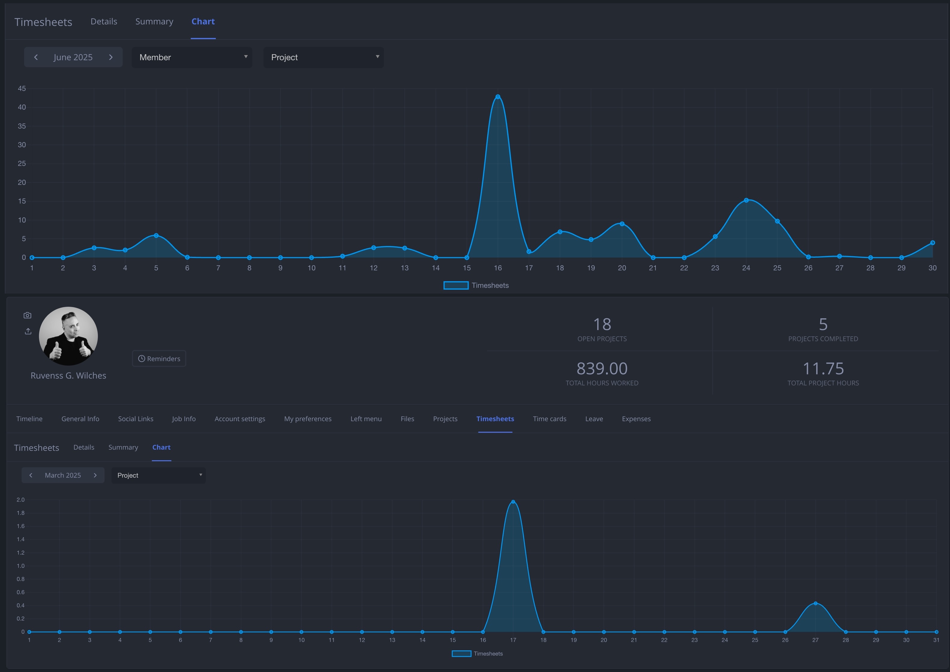 NIZU Timesheets Screenshot